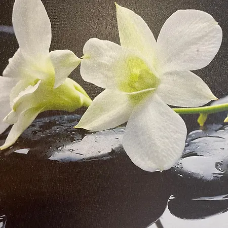 Hotel Egtved Hotel Egtved